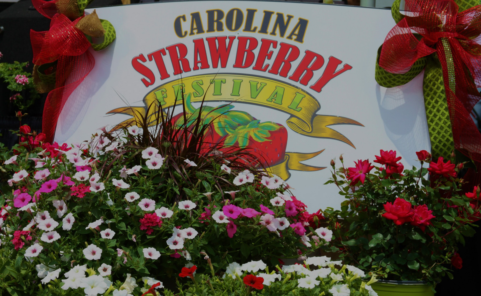 Carolina Strawberry Festival Wallace NC